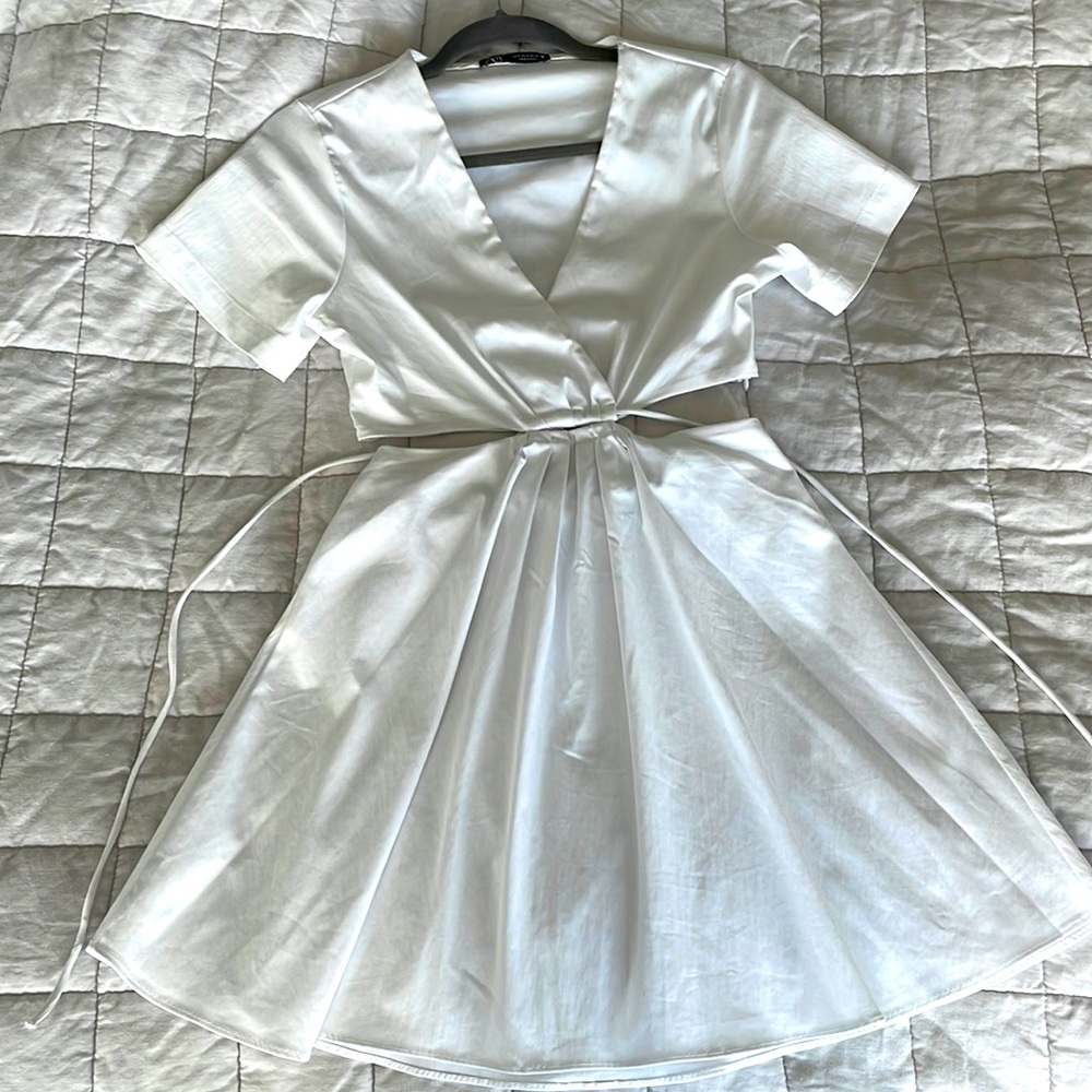 Zara Cut Out Dress Small